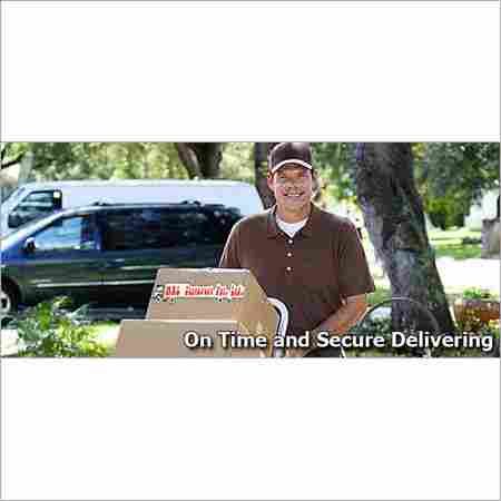 Domestic Parcel Delivery Service