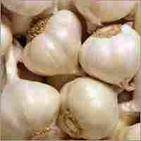 Indian Garlics