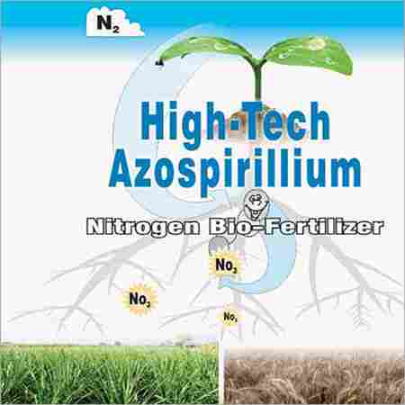 Azospirillium Bio Fertilizers