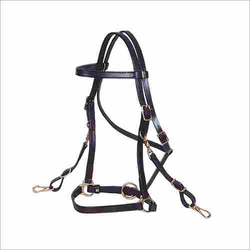Track Horse Halters