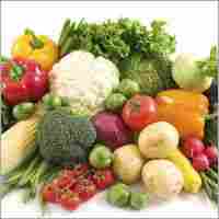 MORAL Fresh Vegetables