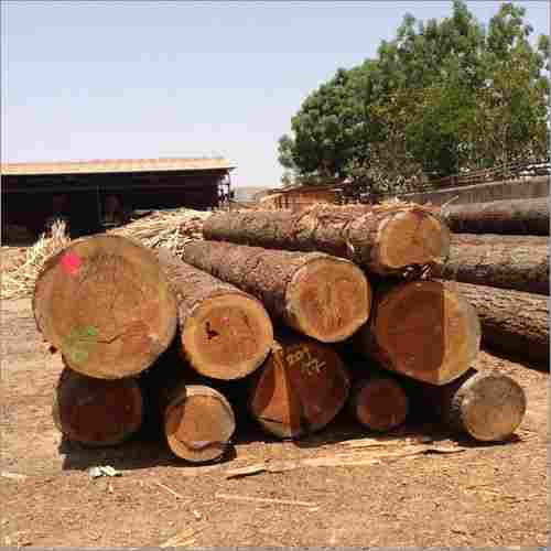 Pinewood Sawn Timber