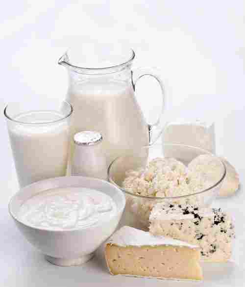 Fresh Dairy Products