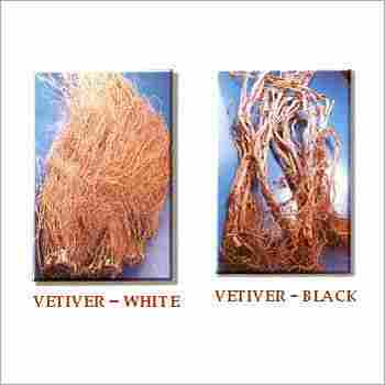 Vetiver Herb Products