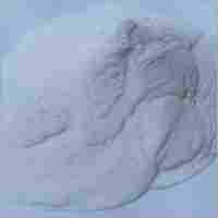 Zinc Sulphate Mono Powder Feed Grade
