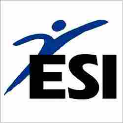 ESI Consultancy Services
