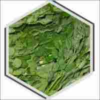 Moringa Herbal Leaves