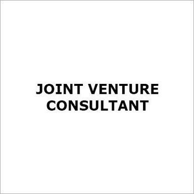 Joint Venture Consultant