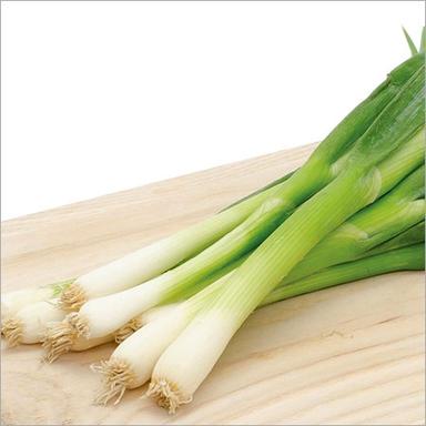 Green Onion Leaves