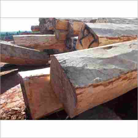 Pinewood Lumber Plank