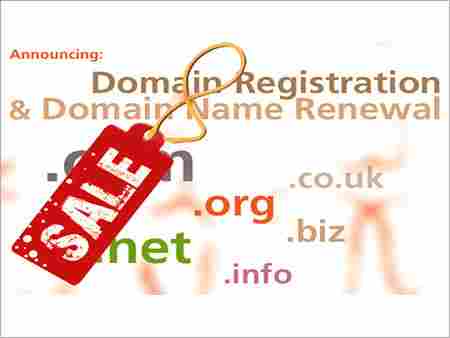 Domain Hosting Services
