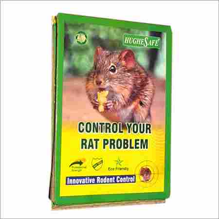 Rodent Control Pest