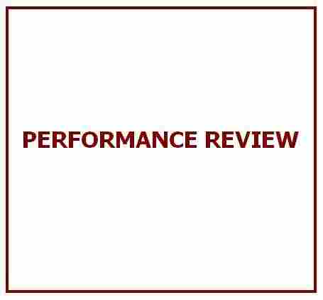 Performance Review Services