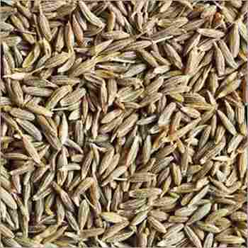 Cumin Seeds