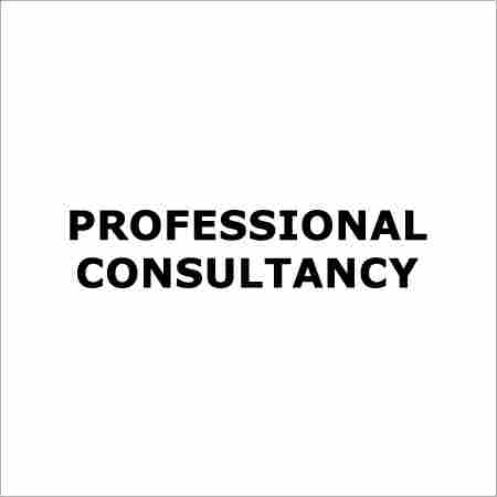 Professional Consultancy Service