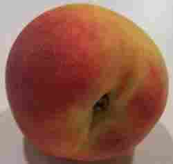 Frozen Peach