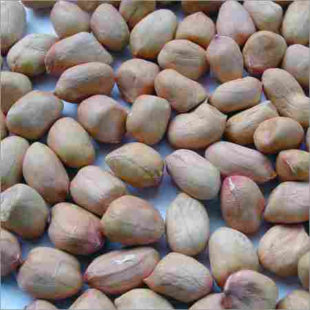 Raw Groundnuts