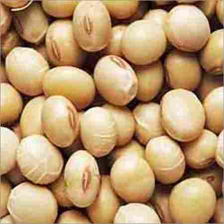 White Soybeans