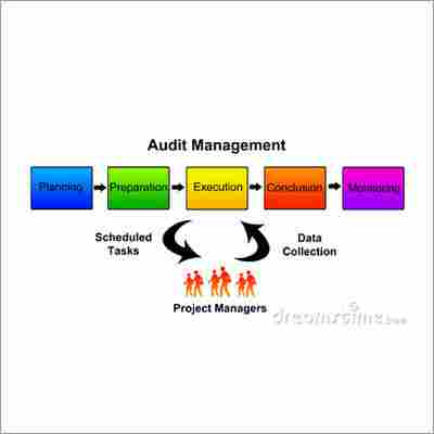 Audit Management Service