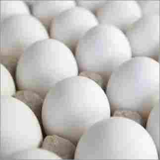 Indian-White-Eggs