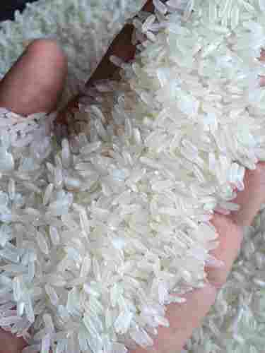 25% Broken White Rice With Newest Crop