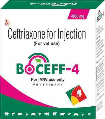 Ceftriaxone For Injection 