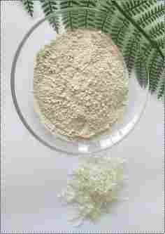 Organic Rice Protein Powder (300 Mesh 600 Mesh)