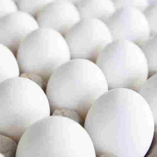 Fresh White Poultry Egg