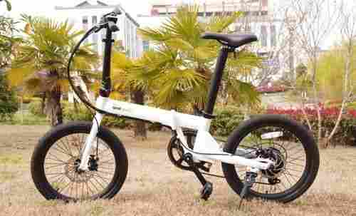 20 Inch Folding Electric Bike