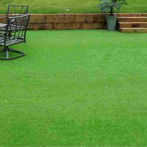 Artificial Grass Carpet Flooring