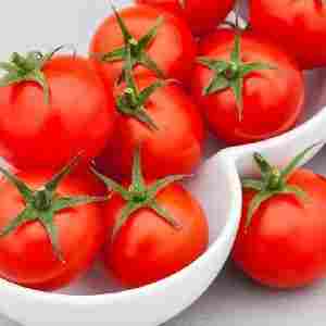 Fresh Tomatoes for Cooking, Tomato Catch-up