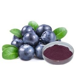 Fresh Herbs Natural Blueberry Extract