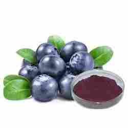 Natural Blueberry Extract