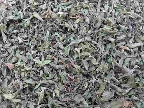 Dry Rama Tulsi Leaves