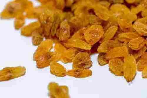 Natural Dried Raisins (Kishmish)