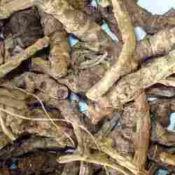 Ayurvedic Natural Dry Roots Kutki Herbs