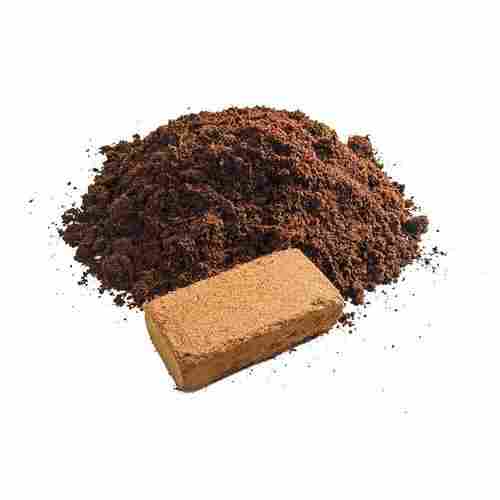 Solid and Powdered Coco Peat