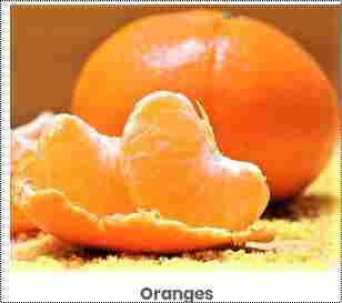 Rich Aroma Fresh Orange
