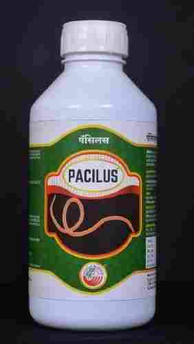 Pacilus (Pacilomyces Lilacinus)