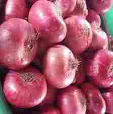 Farm Fresh Red Onions