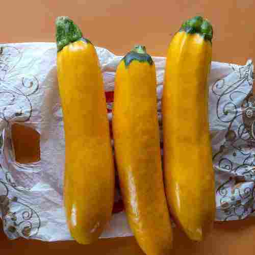 Fresh and Natural Yellow Zucchini