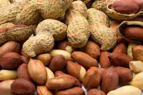Export Quality Dried Peanut