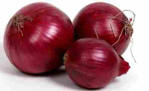 Organic Nutritional Red Onion