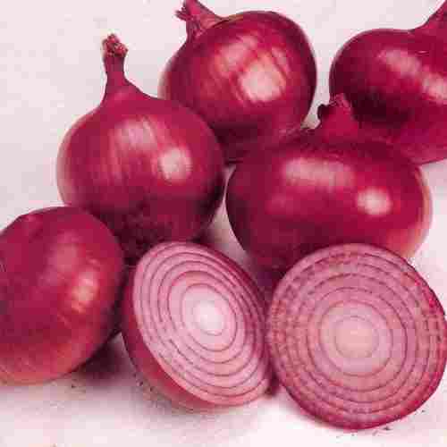 No Preservatives Fresh Red Onion