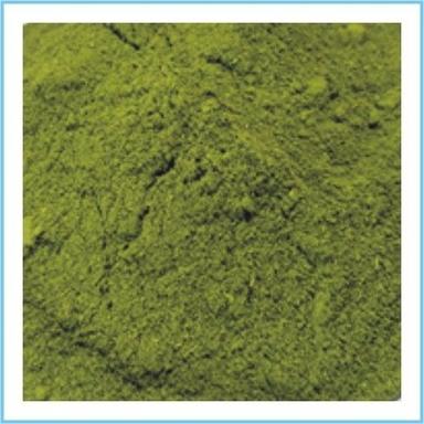 Natural Moringa Leaf Powder Ingredients: Fruits Extract