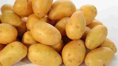 Natural Fresh Organic Potatoes