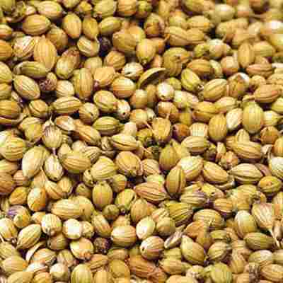 Natural Whole Coriander Seed
