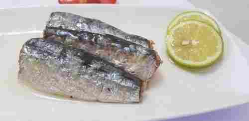 Authentic Moroccan Sardines Canned Fish