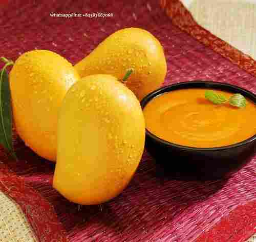 Delicious Taste Mango Pulp