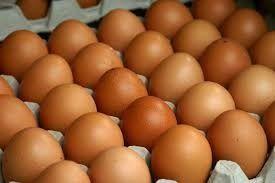 Farm Fresh Brown Eggs Egg Origin: Chicken